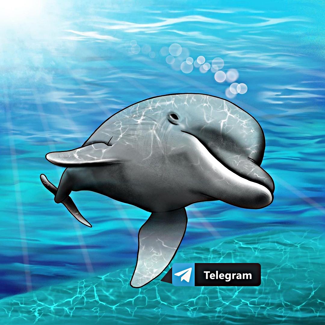 Размещение интеграции в Telegram. Логотип Телеграм канала "Мир океана" Размещение интеграции в Telegram. Логотип Телеграм канала @oceanfoto