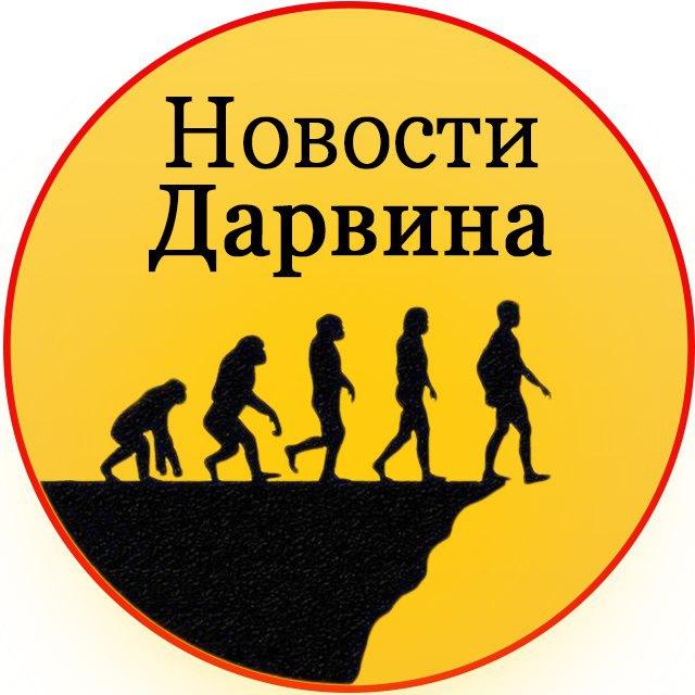 Размещение интеграции в Telegram. Логотип Телеграм канала "Новости Дарвина" Размещение интеграции в Telegram. Логотип Телеграм канала Новости Дарвина