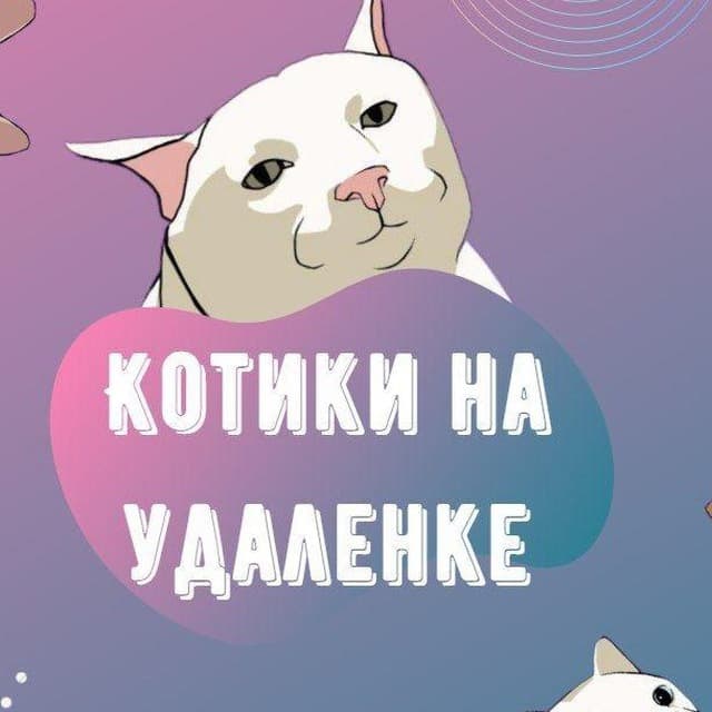 Размещение интеграции в Telegram. Логотип Телеграм канала "Котики на удаленке" Размещение интеграции в Telegram. Логотип Телеграм канала Котики на удаленке