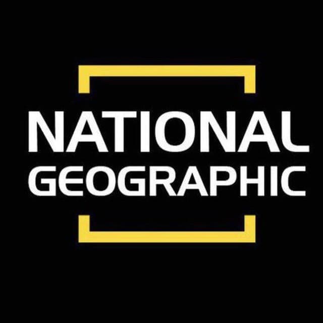 Размещение интеграции в Telegram. Логотип Телеграм канала "National Geographic" Размещение интеграции в Telegram. Логотип Телеграм канала National Geographic
