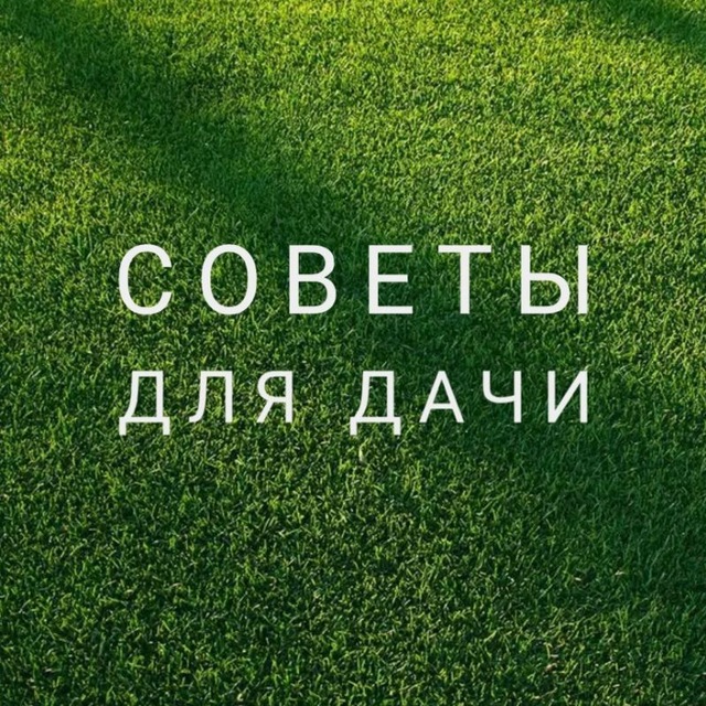Размещение интеграции в Telegram. Логотип Телеграм канала "Дачные советы" Размещение интеграции в Telegram. Логотип Телеграм канала @dacnye_sovety