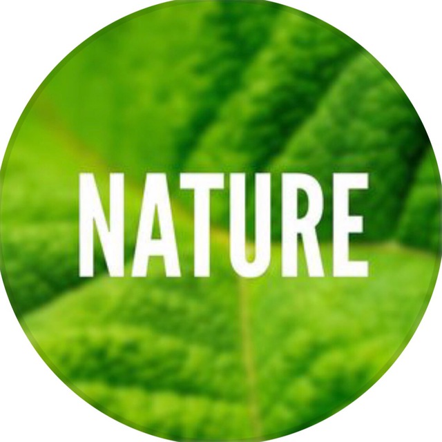 Размещение интеграции в Telegram. Логотип Телеграм канала "Nature 🌏" Размещение интеграции в Telegram. Логотип Телеграм канала @nature_ua