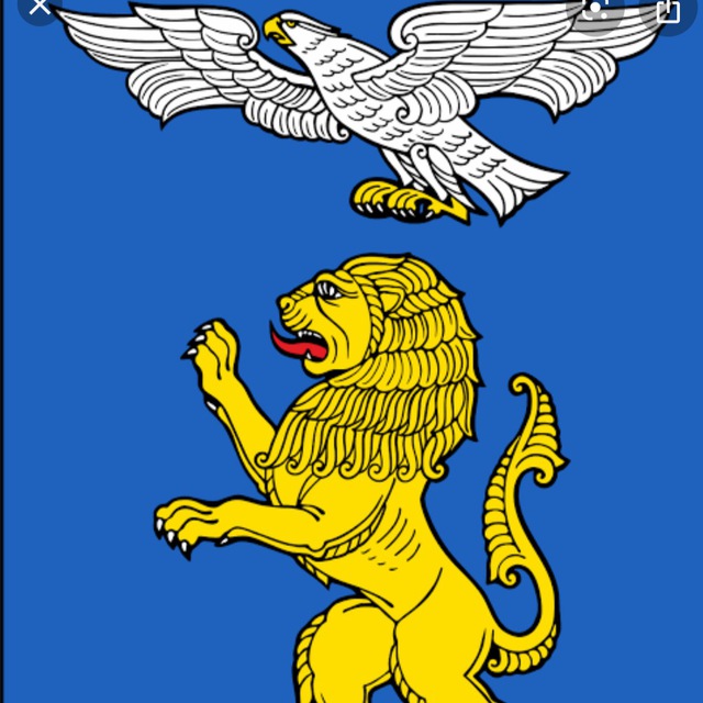 Размещение интеграции в Telegram. Логотип Телеграм канала "📡 На связи Белгород! | Новости" Размещение интеграции в Telegram. Логотип Телеграм канала @belg_news