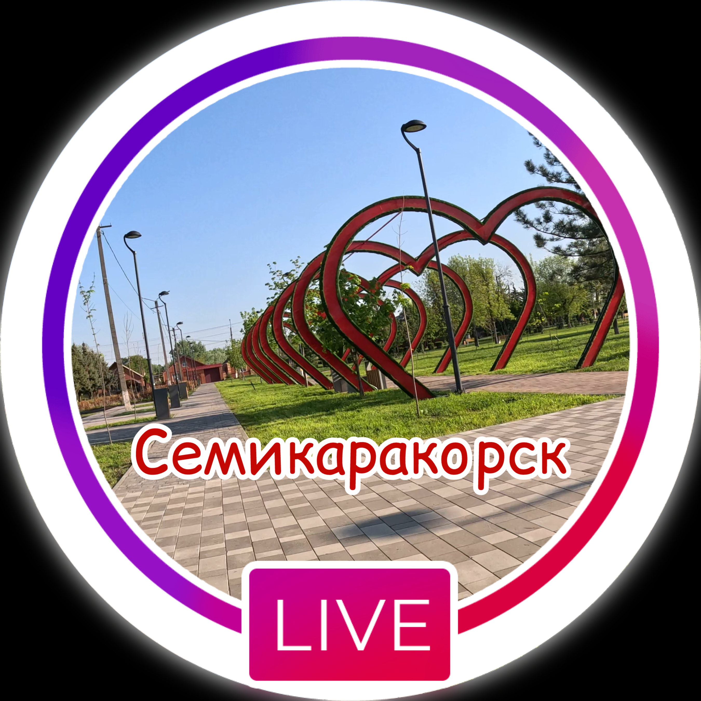 Размещение интеграции в Telegram. Логотип Телеграм канала "Семикаракорск live" Размещение интеграции в Telegram. Логотип Телеграм канала @semaki_live