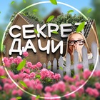 Нативное размещение в Telegram-канале «Секрет дачи | Дом и Сад» 0fadf - Telega.in