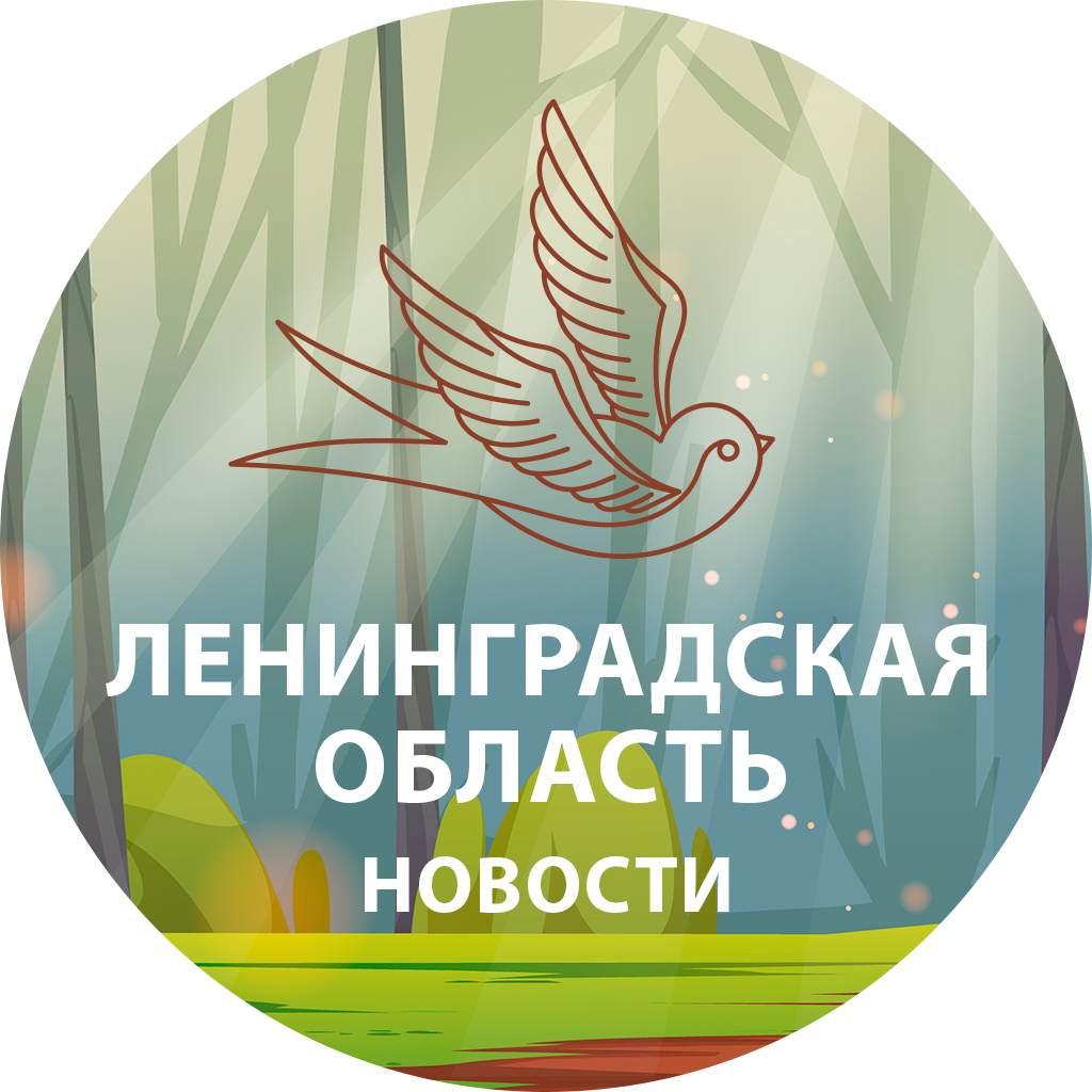 Размещение интеграции в Telegram. Логотип Телеграм канала "Петербург. Что произошло?" Размещение интеграции в Telegram. Логотип Телеграм канала Петербург. Что произошло?