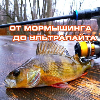 Размещение интеграции в Telegram. Логотип Телеграм канала "Ультралайт Мормышинг Микроджиг - Рыбалка" Размещение интеграции в Telegram. Логотип Телеграм канала @ultraspin