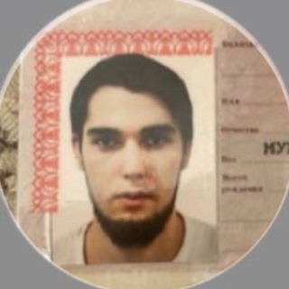 Размещение интеграции в Telegram. Логотип Телеграм канала "WENGALLBI PRIVAT" Размещение интеграции в Telegram. Логотип Телеграм канала WENGALLBI PRIVAT