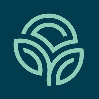 Размещение интеграции в Telegram. Логотип Телеграм канала "Nature’s Sunshine Products" Размещение интеграции в Telegram. Логотип Телеграм канала @naturessunshine25