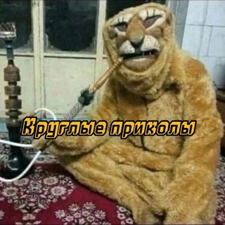 Размещение интеграции в Telegram. Логотип Телеграм канала "Круглые приколы" Размещение интеграции в Telegram. Логотип Телеграм канала @kruglishi1221